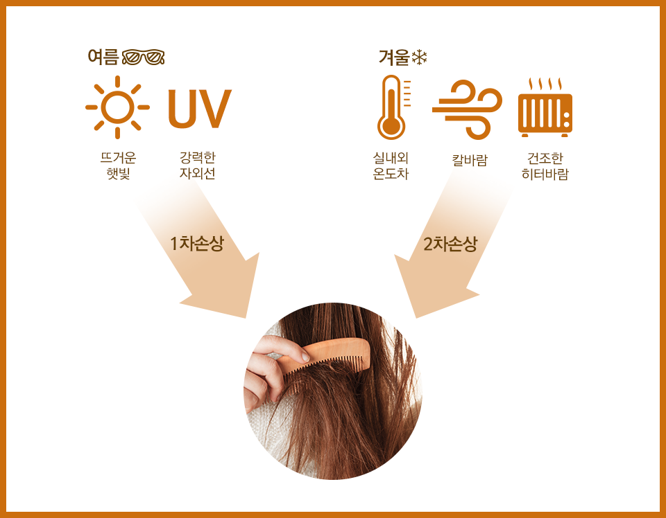 여름엔 뜨거운 햇빛과 강력한 자외선으로 1차 손상 / 겨울엔 실내외 온도차, 칼바람, 건조한 히터바람으로 2차 손상