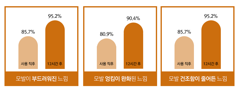 실험자들의 미쟝센 퍼펙트 살롱 마스크팩 제품 만족도