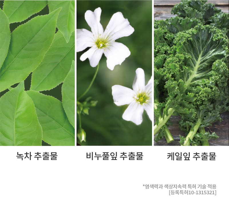 녹차 추출물 / 비누풀잎 추출물 / 케일잎 추출물