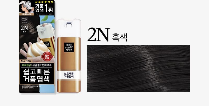 2N 흑색