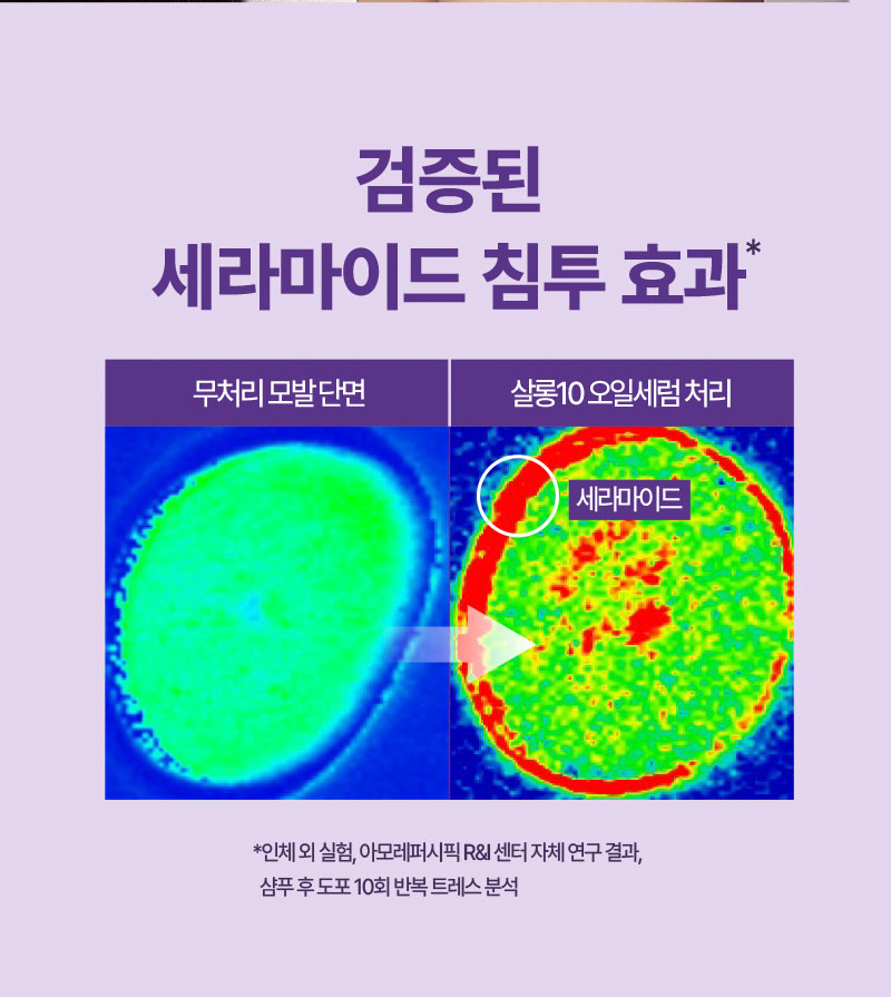 검증된 세라마이드 침투 효과*