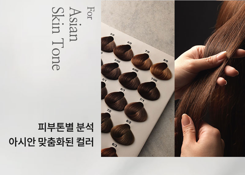 피부톤별 분석 아시안 맞춤화된 컬러