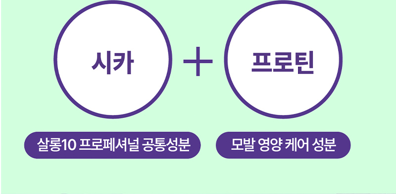 시카 : 살롱10 프로페셔널 공통성분 + 프로틴 : 모발 영양 케어 성분