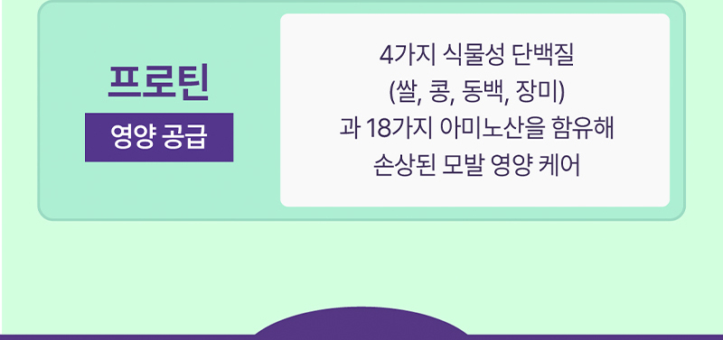 프로틴(영양공급) : 4가지 식물성 단백질(쌀, 콩, 동백, 장미)과 18가지 아미노산을 함유해 손상된 모발 영양 케어