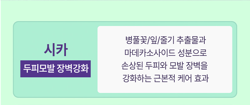 시카(두피모발 장벽강화) : 병풀꽃/잎/줄기 추출물과 마데카소사이드 성분으로 손상된 두피와 모발 장벽을 강화하는 근본적 케어 효과