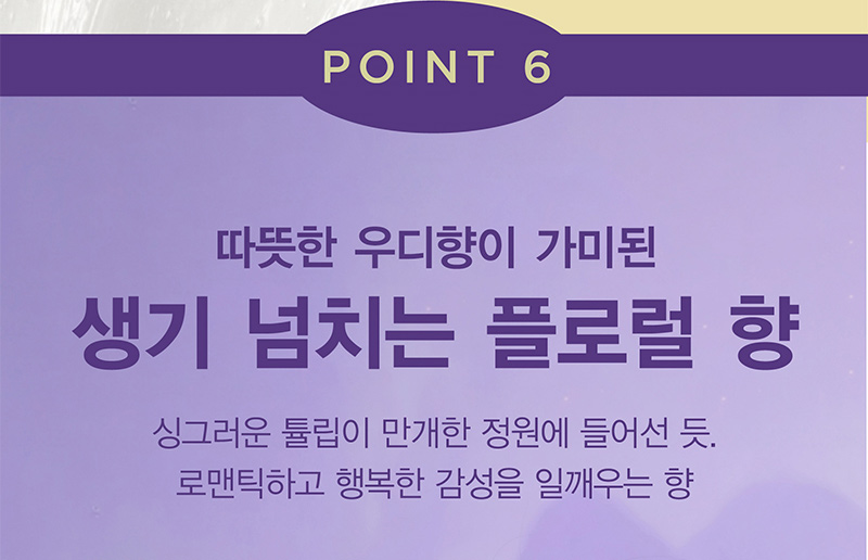 POINT 6 따뜻한 우디향이 가미된 생기 넘치는 플로럴 향 싱그러운 튤립이 만개한 정원에 들어선 듯. 로맨틱하고 행복한 감성을 일깨우는 향