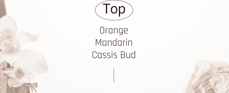 Top : Orange, Mandarin, Cassis Bud