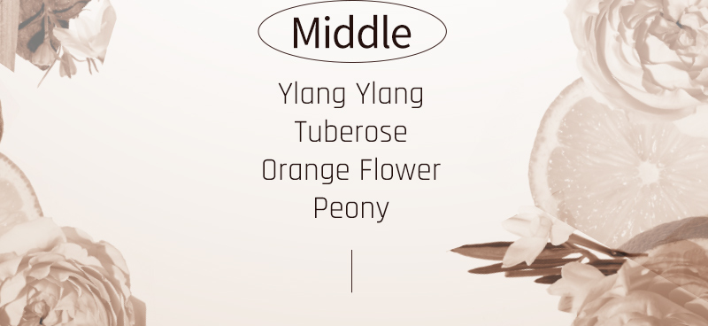 Middle : Ylang Ylang, Tuberose, Orange Flower, Peony