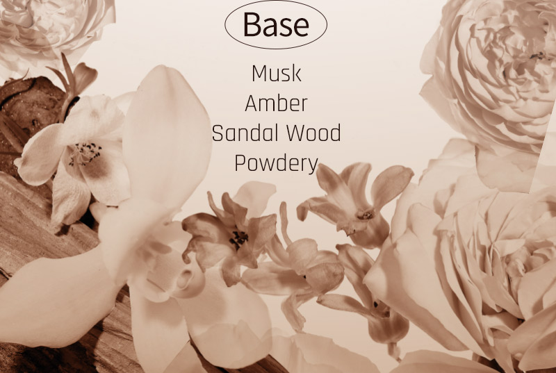 Base : Musk, Amber, Sandal Wood, Powdery