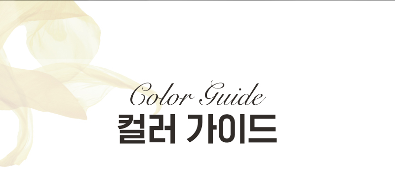 Color Guide 컬러 가이드